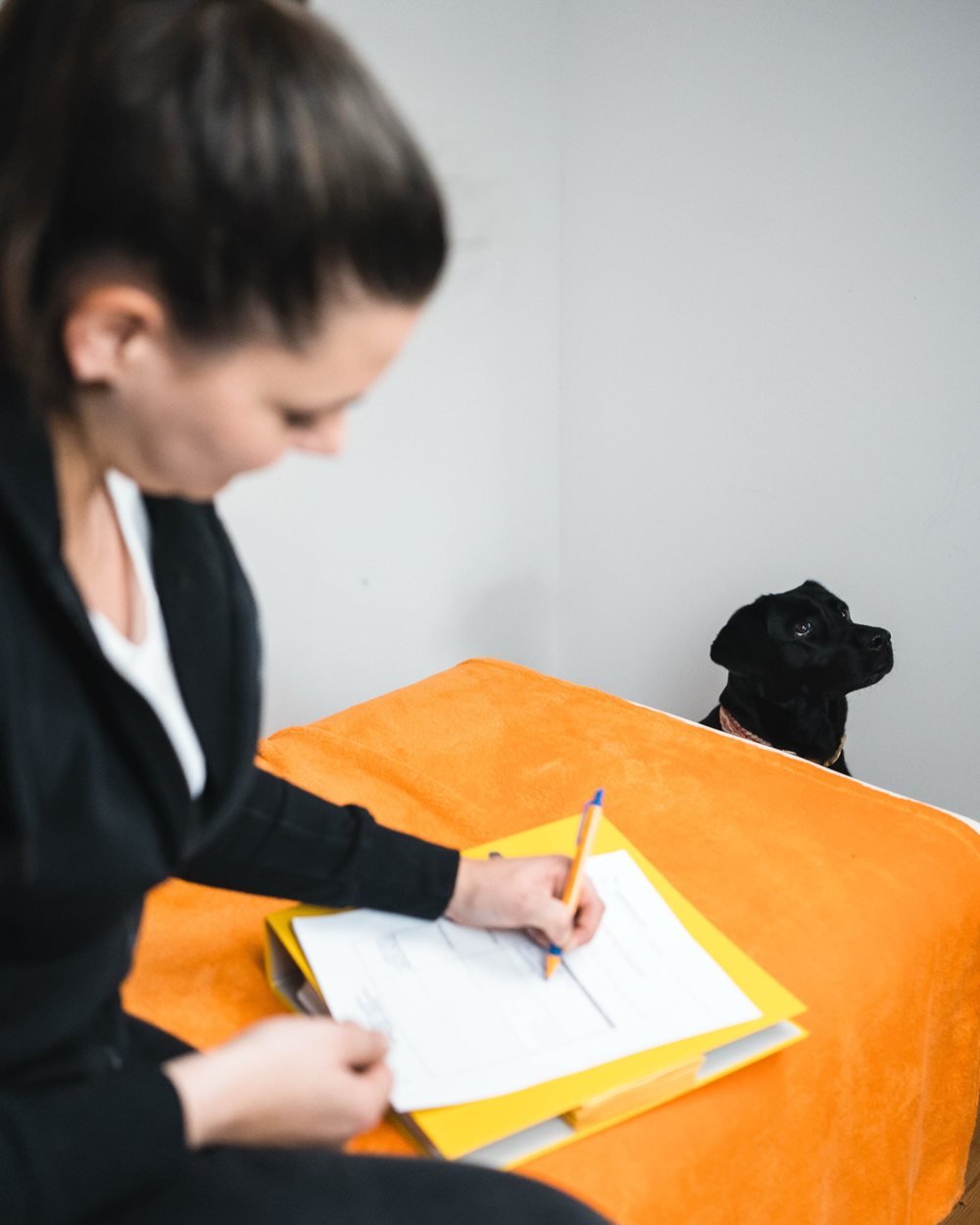 Anna füllt auf einer orangen Liege einen Fragebogen aus, ein schwarzer Hund schaut zu